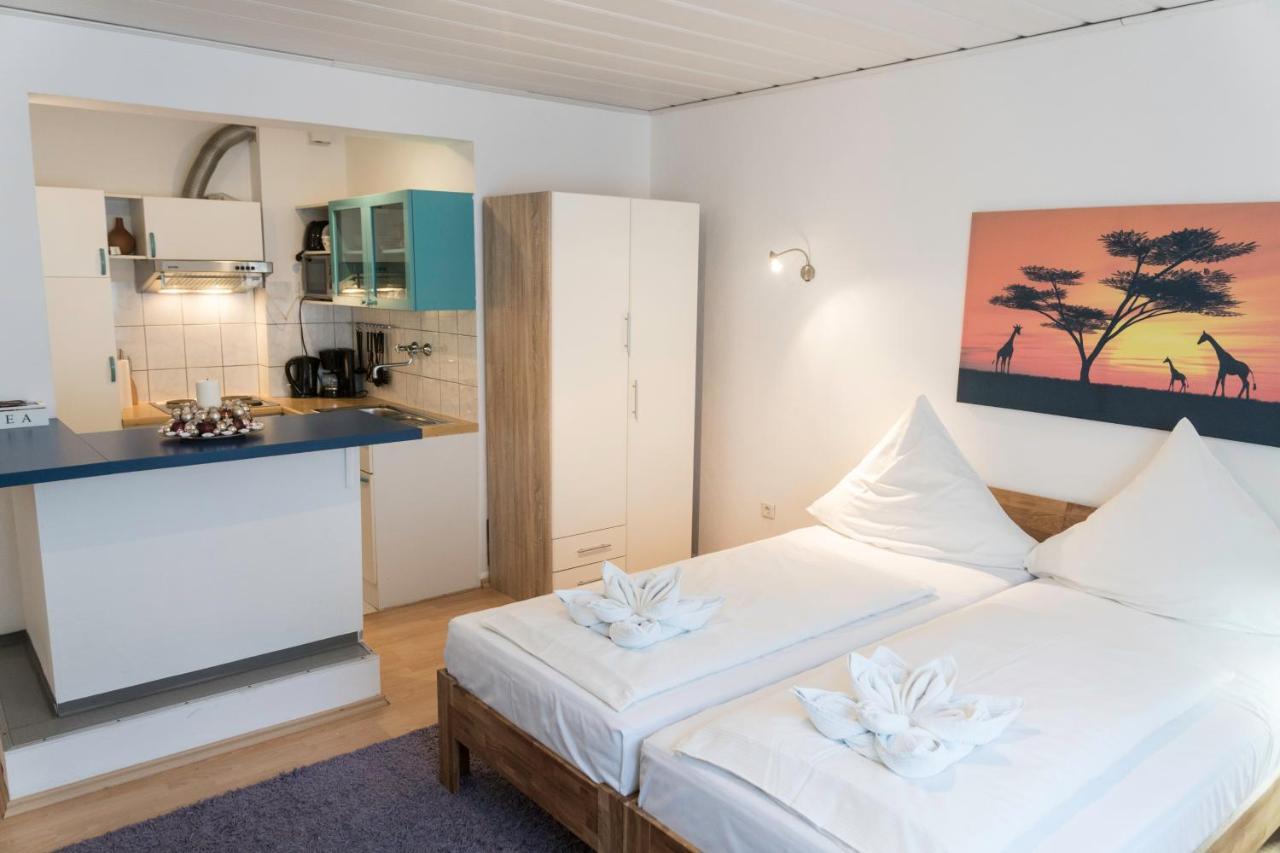 Apartment In Innenstadtnaehe ダルムシュタット エクステリア 写真