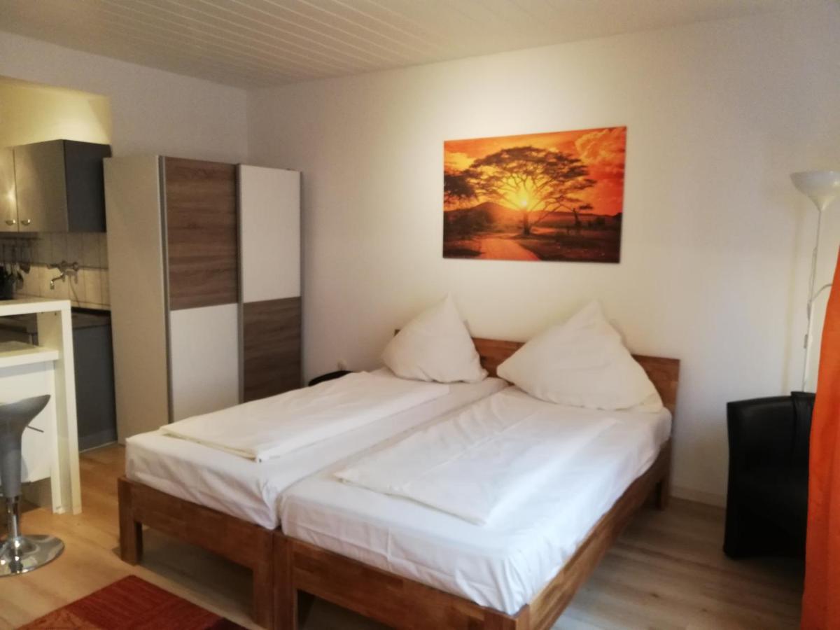 Apartment In Innenstadtnaehe ダルムシュタット エクステリア 写真