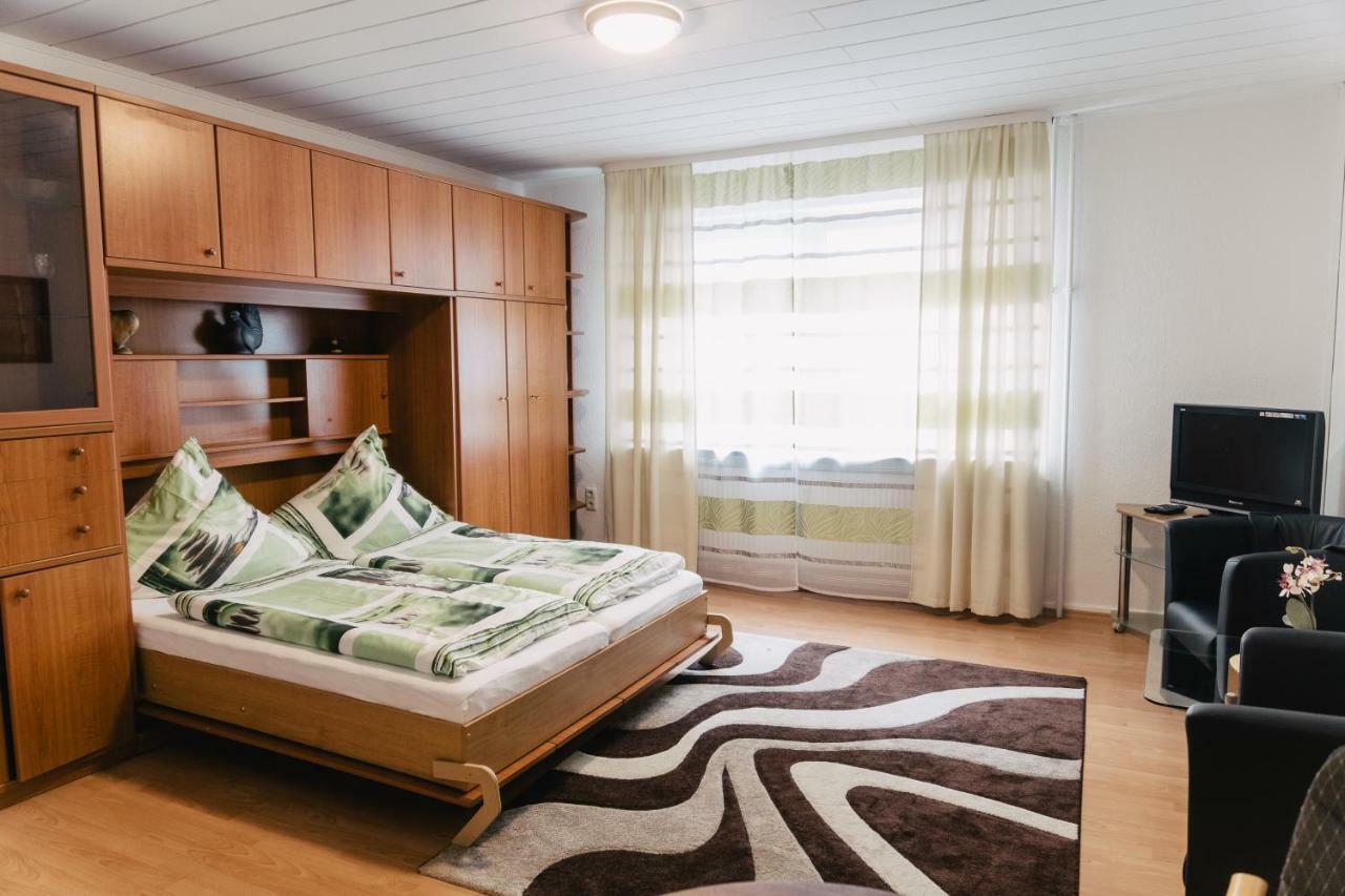 Apartment In Innenstadtnaehe ダルムシュタット エクステリア 写真