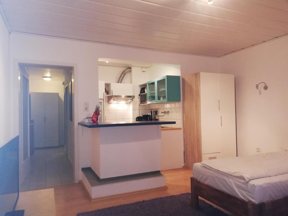 Apartment In Innenstadtnaehe ダルムシュタット エクステリア 写真